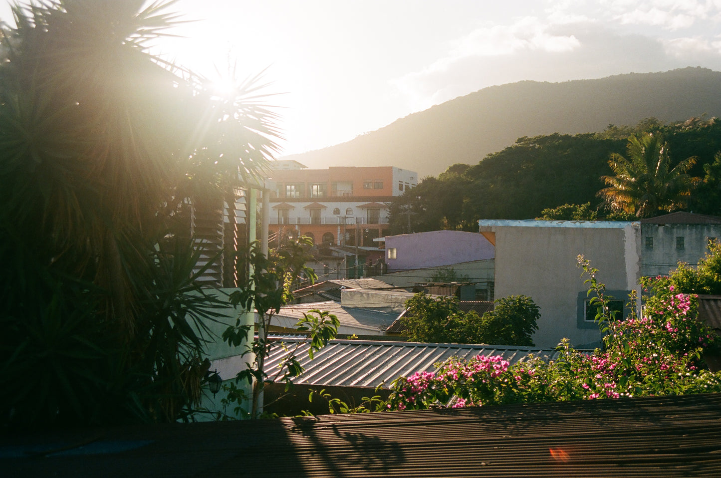 CÉSAR MAGAÑA | Anaérobie Honey