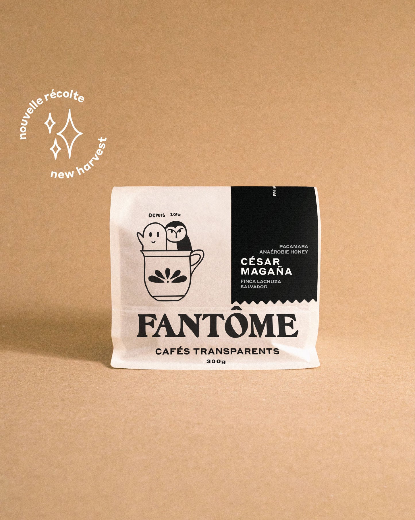 CÉSAR MAGAÑA | Anaérobie Honey