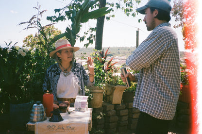 INGRID OLIVO | Recolección de Navidad