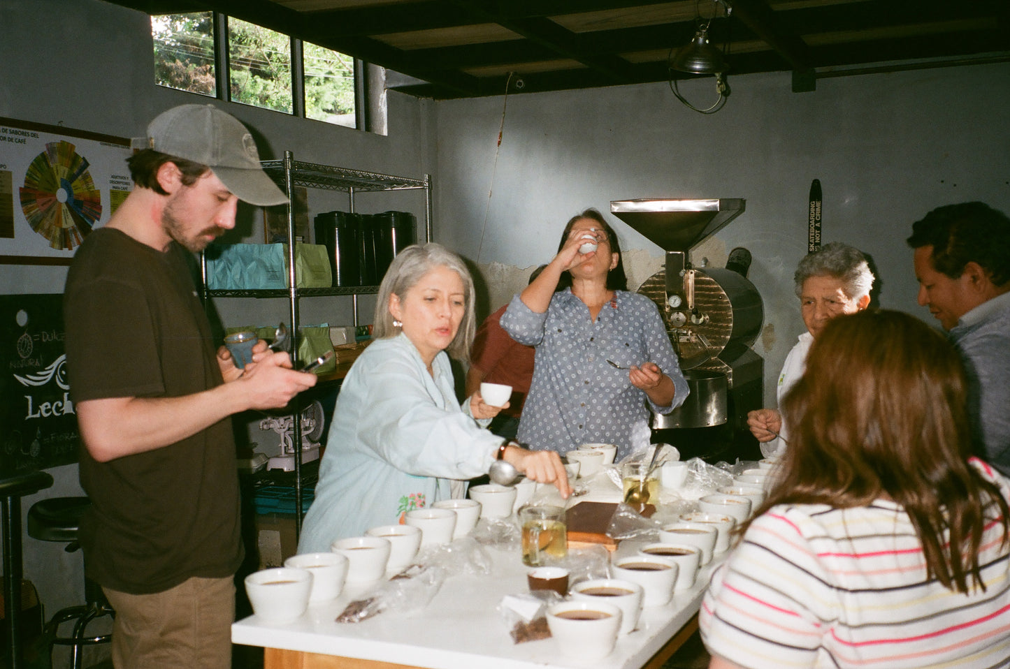 INGRID OLIVO | Recolección de Navidad