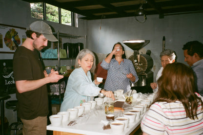 INGRID OLIVO | Recolección de Navidad