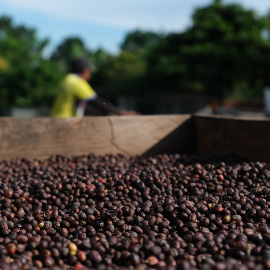 FAMILLE LAING-MEASON | Mélange