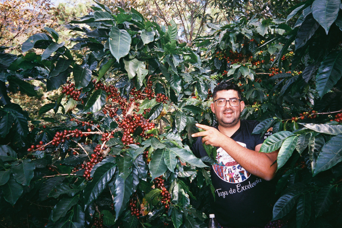 FAMILLE RODRIGUEZ LANDAVERDE  | Pacamara Naturel