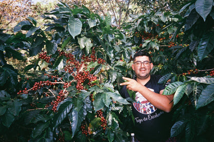 FAMILLE RODRIGUEZ LANDAVERDE  | Pacamara Naturel