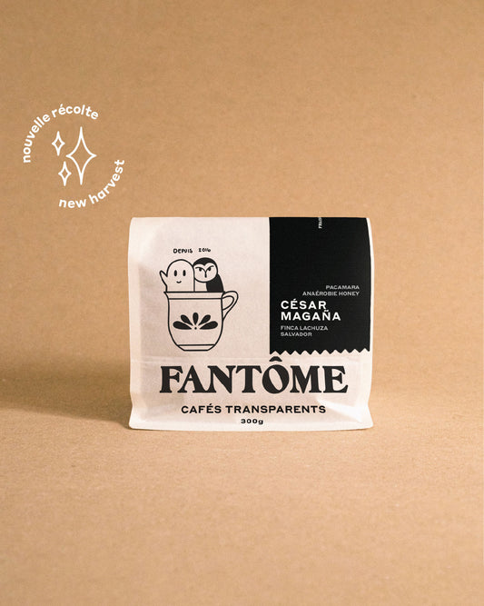 CÉSAR MAGAÑA | Anaérobie Honey