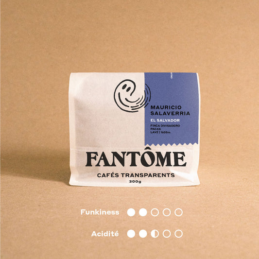 WASHED MAURICIO - Espresso/Filter