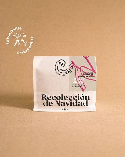 INGRID OLIVO | Recolección de Navidad
