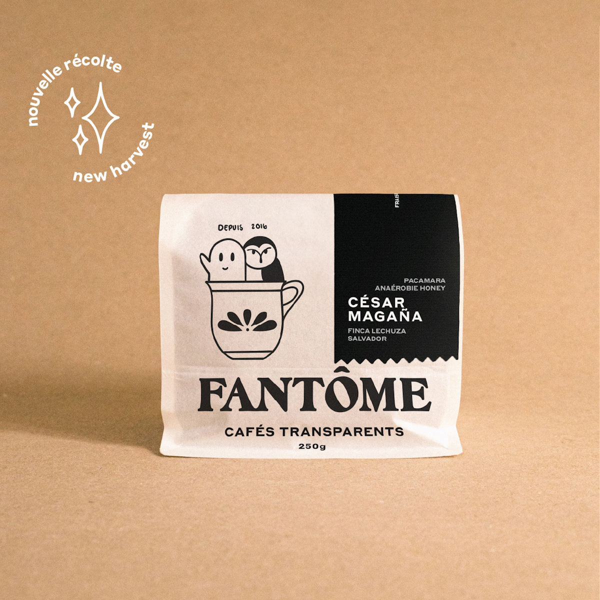 CÉSAR MAGAÑA | Anaérobie Honey