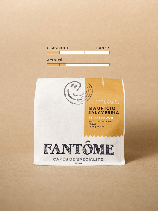 MAURICIO MEDIUM – Espresso/Filter
