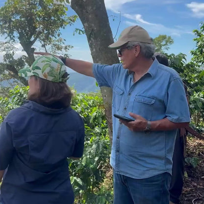 FAMILLE LAING-MEASON | Mélange